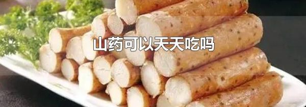 山药可以天天吃吗