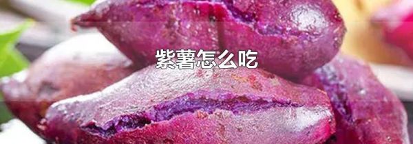紫薯怎么吃