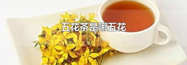 五花茶是哪五花