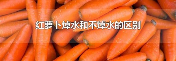红萝卜焯水和不焯水的区别
