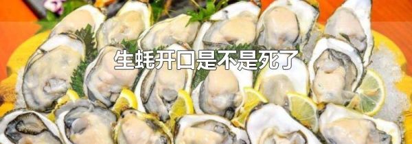 生蚝开口是不是死了