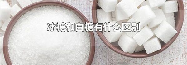 冰糖和白糖有什么区别