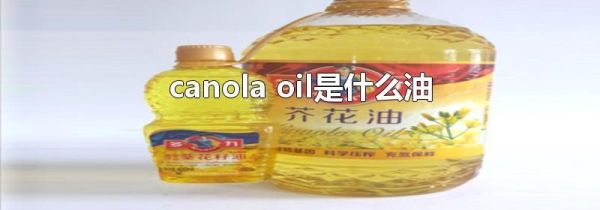canola oil是什么油