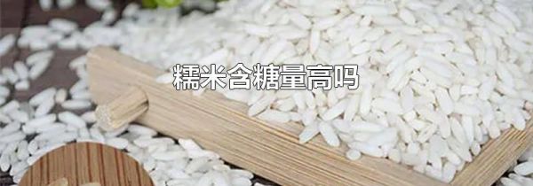 糯米含糖量高吗
