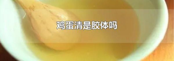 鸡蛋清是胶体吗