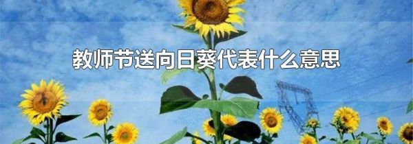教师节送向日葵代表什么意思