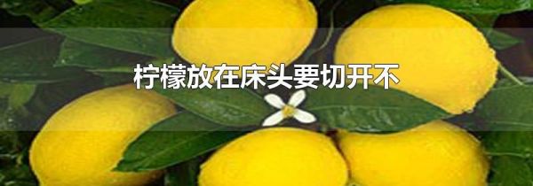 柠檬放在床头要切开不