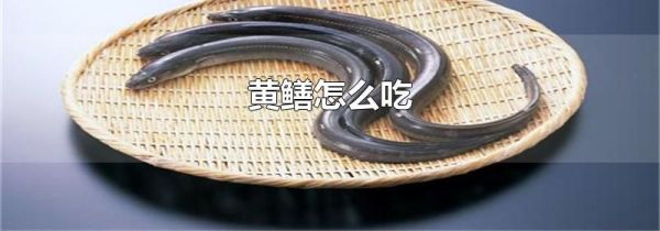黄鳝怎么吃