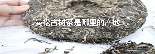 曼松古树茶是哪里的产地