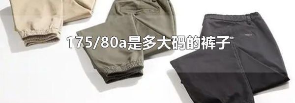 175/80a是多大码的裤子