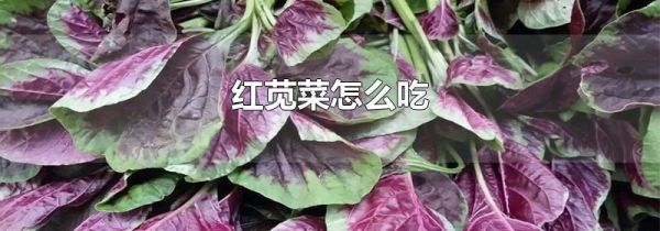 红苋菜怎么吃