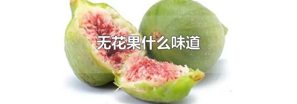无花果什么味道