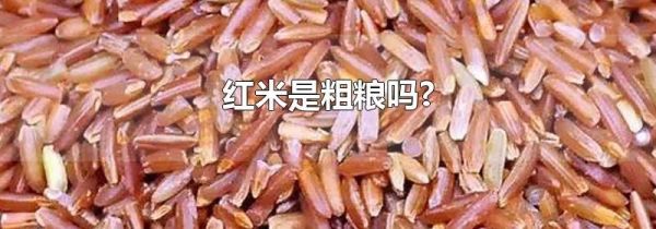 红米是粗粮吗?