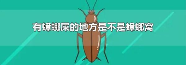 有蟑螂屎的地方是不是蟑螂窝
