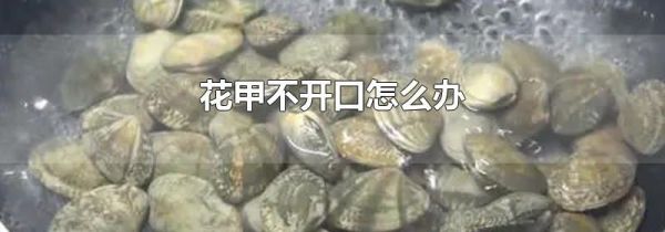花甲不开口怎么办