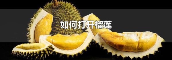 如何打开榴莲