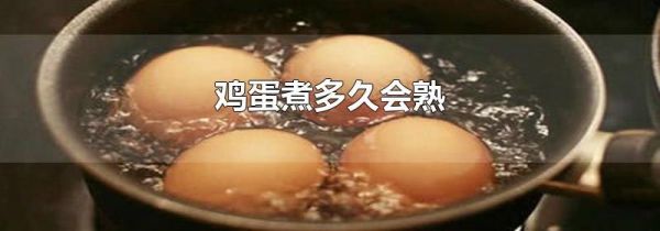 鸡蛋煮多久会熟