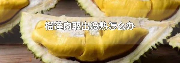 榴莲肉取出没熟怎么办