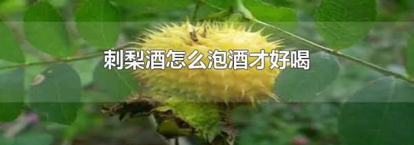 刺梨酒怎么泡酒才好喝