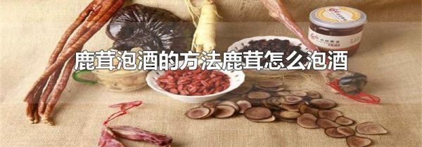 鹿茸泡酒的方法鹿茸怎么泡酒