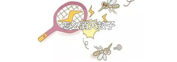 怎么消灭蚊子