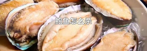 鲍鱼怎么杀