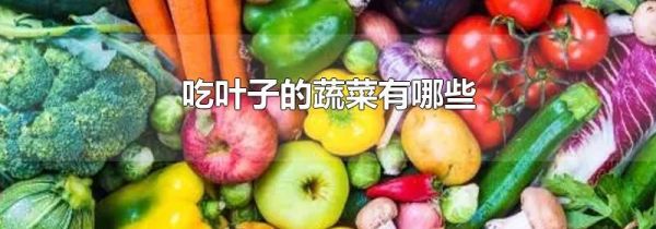 吃叶子的蔬菜有哪些