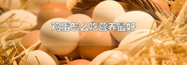 鸡蛋怎么吃营养最好