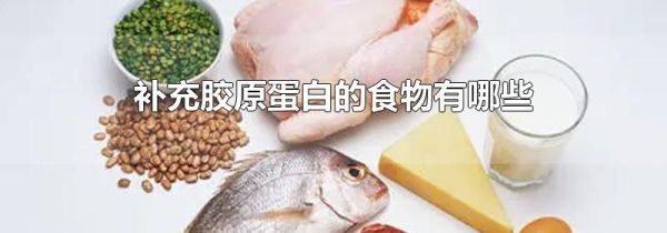 补充胶原蛋白的食物有哪些