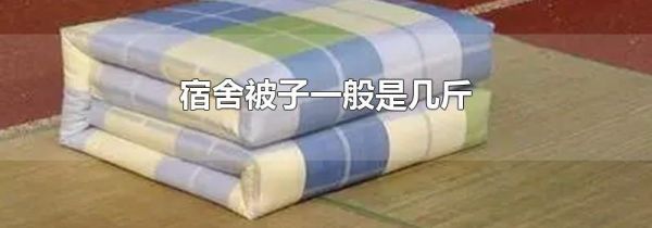 宿舍被子一般是几斤
