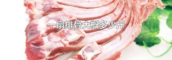 一扇排骨大概多少斤