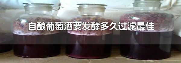 自酿葡萄酒要发酵多久过滤最佳