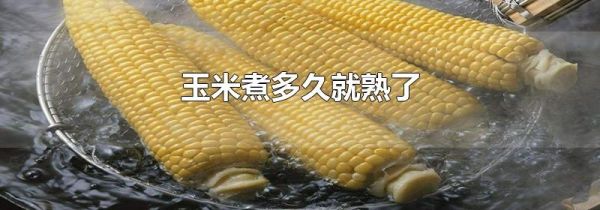玉米煮多久就熟了