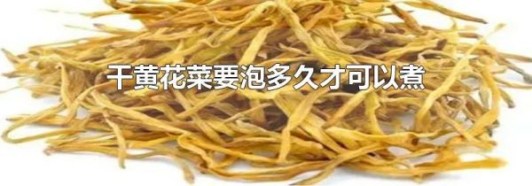 干黄花菜要泡多久才可以煮
