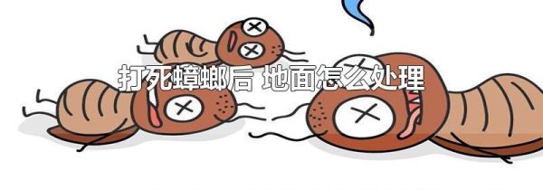打死蟑螂后 地面怎么处理