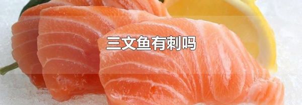 三文鱼有刺吗
