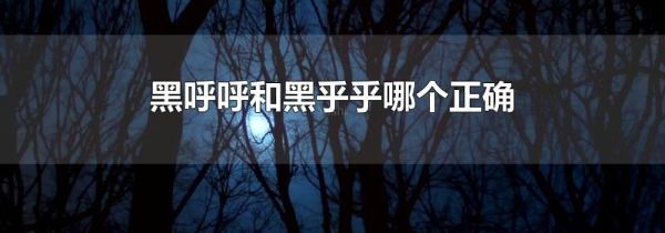 黑呼呼和黑乎乎哪个正确