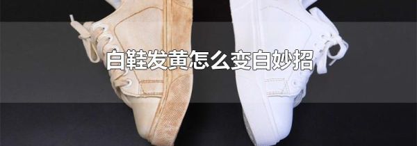 白鞋发黄怎么变白妙招