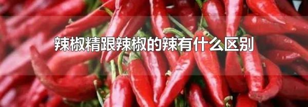 辣椒精跟辣椒的辣有什么区别