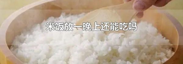 米饭放一晚上还能吃吗