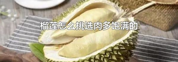 榴莲怎么挑选肉多饱满的