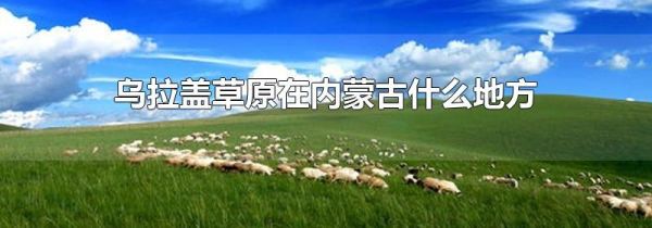 乌拉盖草原在内蒙古什么地方