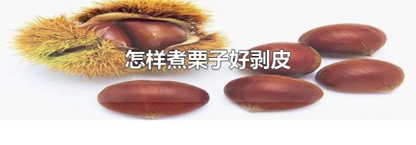 怎样煮栗子好剥皮