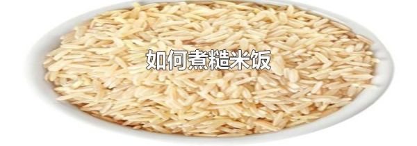 如何煮糙米饭