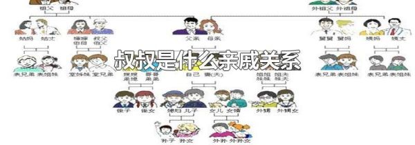 叔叔是什么亲戚关系