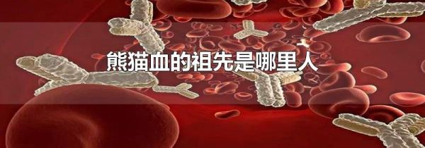 熊猫血的祖先是哪里人