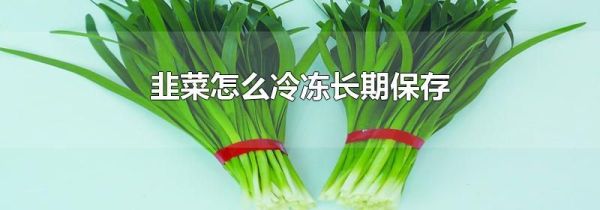 韭菜怎么冷冻长期保存