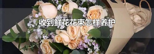 收到鲜花花束怎样养护