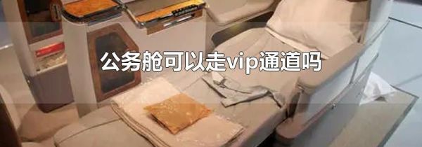 公务舱可以走vip通道吗