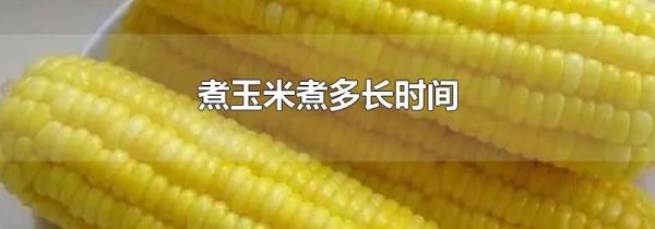 煮玉米煮多长时间